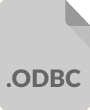 ODBC file format