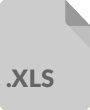 XLS file format